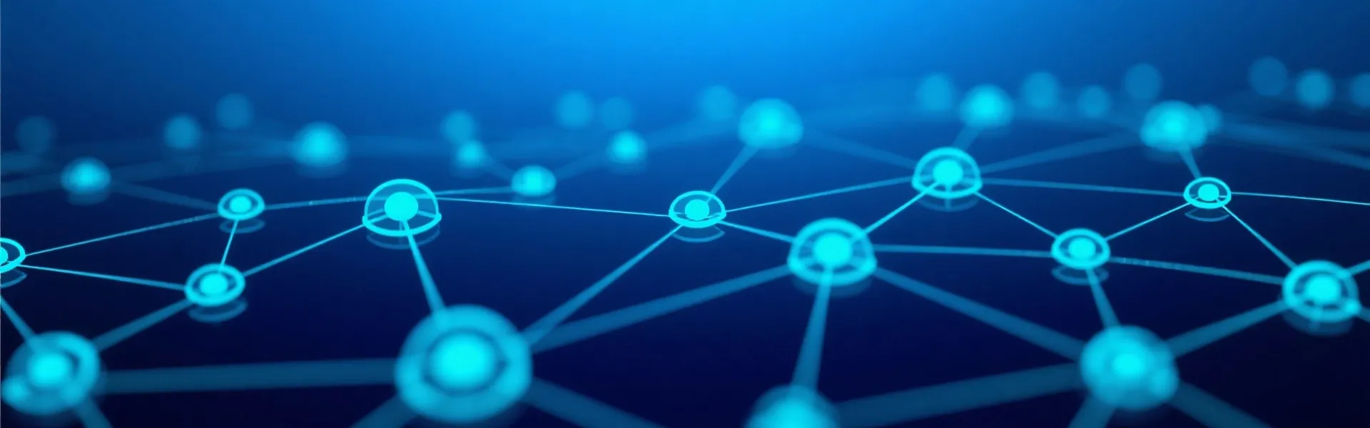 Data Network Background